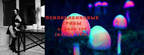 дурь Алексин