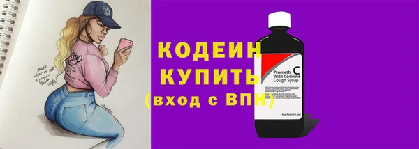 гашик Абаза